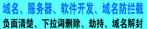 域名、服务器、软件开发、域名防拦截、域名防爆红、负面清楚、下拉词删除、劫持、域名解封